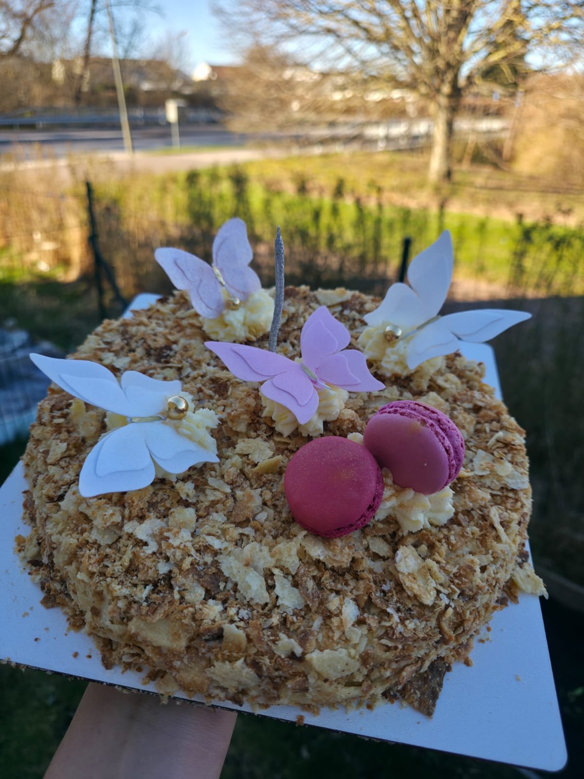 Napoleon Cake with Butterflies
