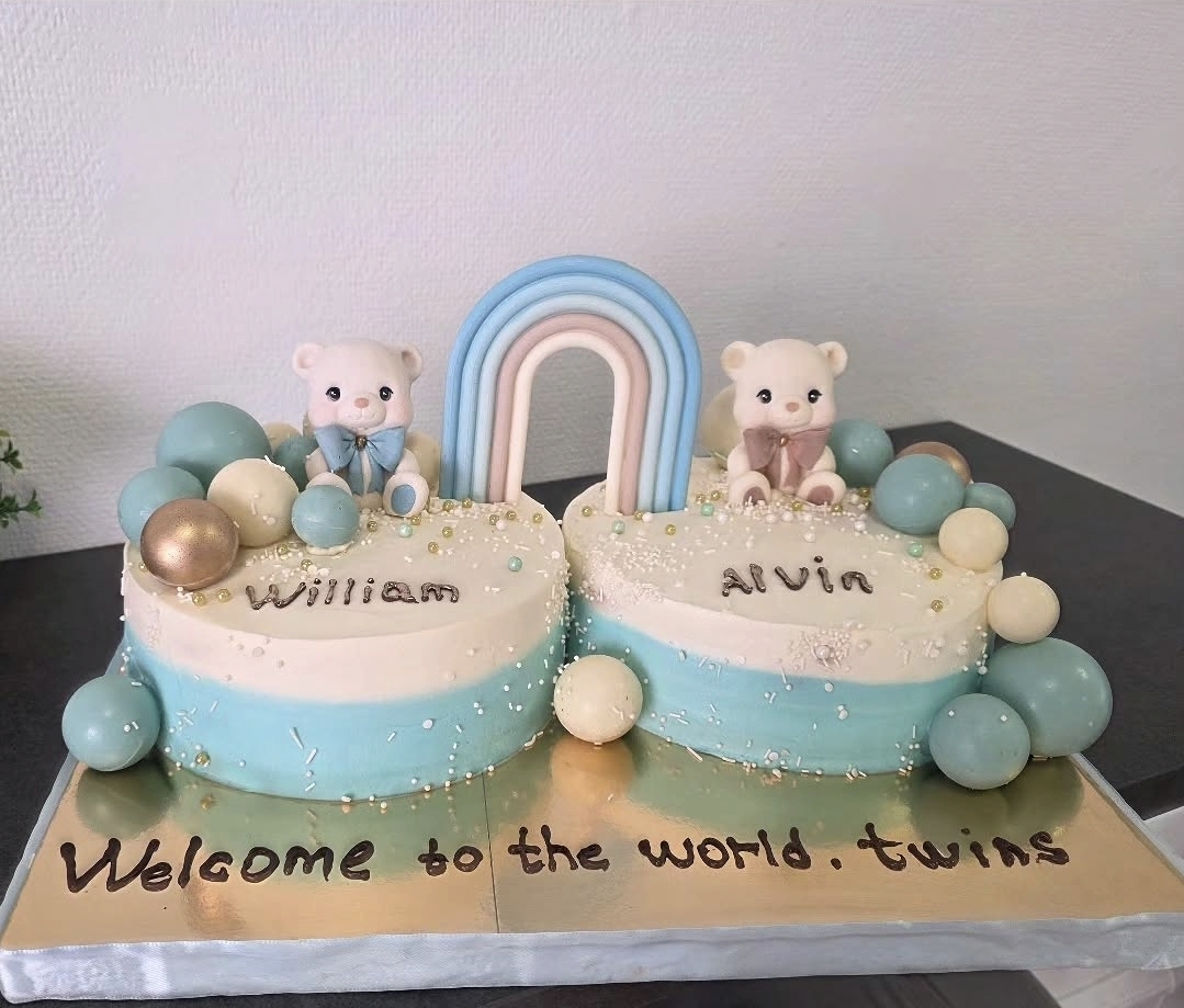 Welcome Twins Cake